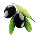 オリーブ