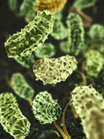 アップロードファイル 17-1.png